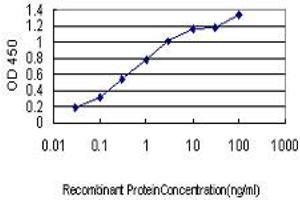 Detection limit for recombinant GST tagged CYorf15B is approximately 0. (CYorf15B 抗体  (AA 82-180))