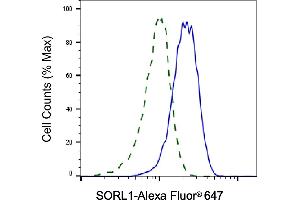 Validation of SORL1 knockdown using flow cytometry.