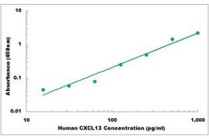 Representative Standard Curve (CXCL13 ELISA 试剂盒)