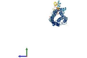 Protein Structure (PS) image for G Protein-Coupled Receptor 12 (GPR12) (AA 1-334) protein (His tag) (ABIN7548083)