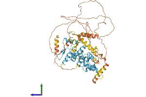 Protein Structure (PS) image for Zinc Finger Protein 215 (ZNF215) (AA 1-517) protein (His tag) (ABIN7545647)