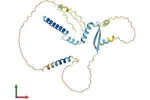 Protein Structure (PS) image for Craniofacial Development Protein 1 (CFDP1) (AA 1-295) protein (His tag) (ABIN7562588)