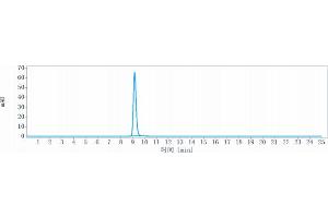 anti-B7-H4 (Alsevalimab Biosimilar) antibody