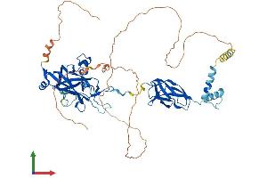 AlphaFold protein structure predicition of Human Recombinant EBF2 Protein, UniprotID Q9HAK2