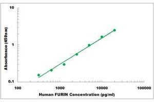 Representative Standard Curve (FURIN ELISA 试剂盒)