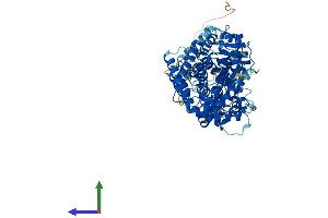 Protein Structure (PS) image for Kell Blood Group, Metallo-Endopeptidase (KEL) (AA 1-732) protein (His tag) (ABIN7554308)