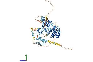 Protein Structure (PS) image for EPS8-Like 2 (EPS8L2) (AA 1-729) protein (His tag) (ABIN7560332)