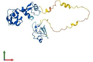 Protein Structure (PS) image for Chromosome 11 Open Reading Frame 46 (C11orf46) (AA 1-260) protein (His tag) (ABIN7552017)