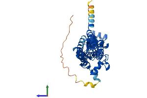 Protein Structure (PS) image for Zinc Finger, DHHC-Type Containing 15 (ZDHHC15) (AA 1-337) protein (His tag) (ABIN7545621)