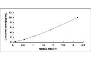 Typical standard curve (NTSR1 ELISA 试剂盒)
