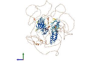 AlphaFold protein structure predicition of Human Recombinant RGS3 Protein, UniprotID P49796