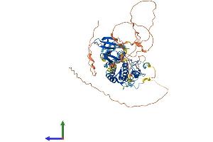 Protein Structure (PS) image for Testis-Specific Kinase 2 (TESK2) (AA 1-570) protein (His tag) (ABIN7559830)