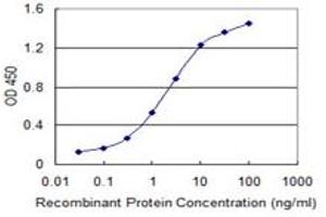 Detection limit for recombinant GST tagged ILKAP is 0. (ILKAP 抗体  (AA 293-392))