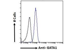 Flow Cytometry (FACS) image for anti-GATA Binding Protein 1 (Globin Transcription Factor 1) (GATA1) (Internal Region) antibody (ABIN185449)