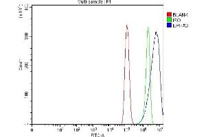 Flow Cytometry analysis of PC-3 cells using anti-Eph Receptor A3/EPHA3 antibody (ABIN7602102).