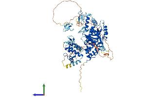 Protein Structure (PS) image for Zinc Finger, RAN-Binding Domain Containing 1 (ZRANB1) (AA 1-708) protein (His tag) (ABIN7556158)