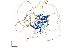 Protein Structure (PS) image for P21 Protein (Cdc42/Rac)-Activated Kinase 7 (PAK7) (AA 1-719) protein (His tag) (ABIN7564479)