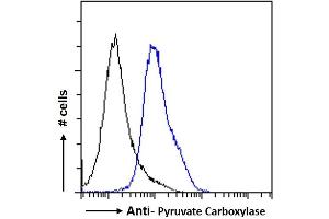 ABIN238663 Flow cytometric analysis of paraformaldehyde fixed HeLa cells (blue line), permeabilized with 0. (PC 抗体  (Internal Region))