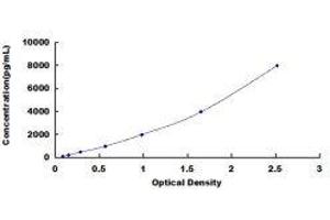 Insulin-Like Growth Factor Binding Protein 2, 36kDa (IGFBP2) ELISA Kit