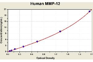 Matrix Metallopeptidase 12 (Macrophage Elastase) (MMP12) ELISA Kit