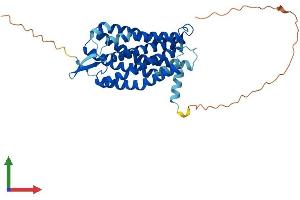Protein Structure (PS) image for Lysophosphatidic Acid Receptor 5 (LPAR5) (AA 1-372) protein (His tag) (ABIN7556972)