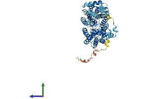 Protein Structure (PS) image for Solute Carrier Family 22 (Organic Anion Transporter), Member 8 (SLC22A8) (AA 1-542) protein (His tag) (ABIN7555382)