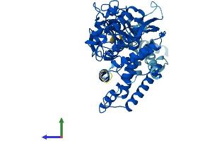 AlphaFold protein structure predicition of Human Recombinant CYP2C8 Protein, UniprotID P10632