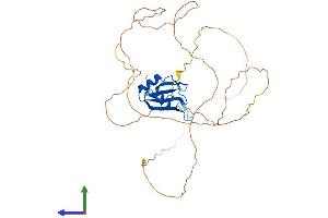 Protein Structure (PS) image for RNA Binding Motif Protein, Y-Linked Family 1 Member A1 (RBMY1A1) (AA 1-380) protein (His tag) (ABIN7562365)