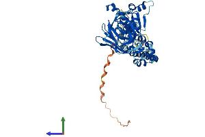 Protein Structure (PS) image for BTB (POZ) Domain Containing 1 (BTBD1) (AA 1-488) protein (His tag) (ABIN7556523)