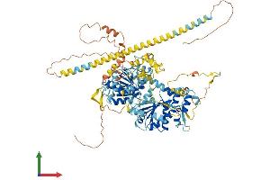Protein Structure (PS) image for Helicase, Lymphoid-Specific (HELLS) (AA 1-838) protein (His tag) (ABIN7554101)