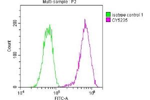 Overlay histogram showing Hela cells stained with ABIN7127599 (red line) at 1:50. (Recombinant LDLR 抗体)
