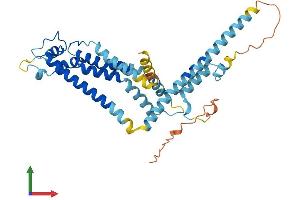 Protein Structure (PS) image for Calcium Homeostasis Modulator 1 (CALHM1) (AA 1-346) protein (His tag) (ABIN7552797)
