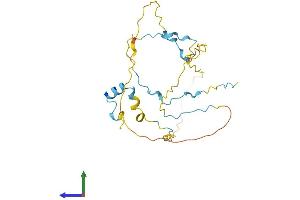 Protein Structure (PS) image for RAD9-HUS1-RAD1 Interacting Nuclear Orphan 1 (RHNO1) (AA 1-235) protein (His tag) (ABIN7559542)