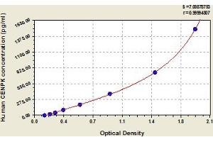 Typical Standard Curve (CENPK ELISA 试剂盒)