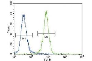 DDR1 antibody flow cytometric analysis of 293 cells (right histogram) compared to a negative control (left histogram).