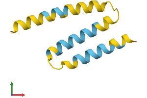 AlphaFold protein structure predicition of Human Recombinant SMIM10L2B Protein, UniprotID P0DMW5 (SMIM10L2B (AA 1-78) protein (Fc Tag))