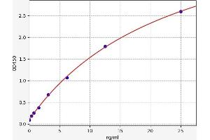 Typical standard curve (Surfactant Protein C ELISA 试剂盒)