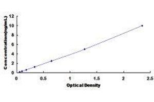 Steroidogenic Acute Regulatory Protein (STAR) ELISA Kit