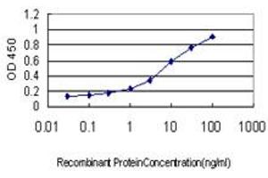 Detection limit for recombinant GST tagged BIRC4 is approximately 0. (XIAP 抗体  (AA 51-150))