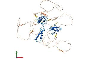 Protein Structure (PS) image for SH2B Adaptor Protein 1 (SH2B1) (AA 1-756) protein (His tag) (ABIN7555459)