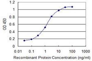 Detection limit for recombinant GST tagged CDR2 is 0. (CDR2 抗体  (AA 296-404))