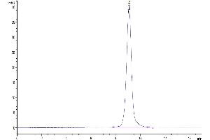 The purity of Mouse CD200 is greater than 95 % as determined by SEC-HPLC.