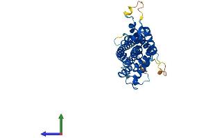 Protein Structure (PS) image for Peroxisomal Biogenesis Factor 3 (PEX3) (AA 1-373) protein (His tag) (ABIN7550656)