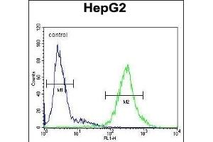 IL1RN Antibody (C-term) (ABIN1882098 and ABIN2840789) flow cytometric analysis of HepG2 cells (right histogram) compared to a negative control cell (left histogram). (IL1RN 抗体  (C-Term))