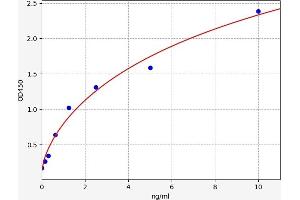 ELISA image for Cross-Linked C-Telopeptides of Type I Collagen (CTX-I) ELISA Kit (ABIN6966140)