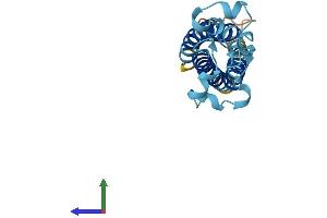 Protein Structure (PS) image for Transmembrane 4 L Six Family Member 1 (TM4SF1) (AA 1-202) protein (His tag) (ABIN7544104)