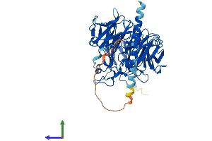 Protein Structure (PS) image for Coronin, Actin Binding Protein, 1C (CORO1C) (AA 1-474) protein (His tag) (ABIN7556284)