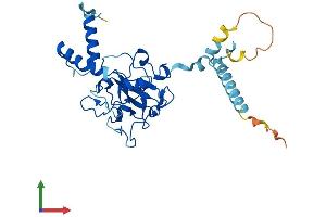 AlphaFold protein structure predicition of Human Recombinant FAM221A Protein, UniprotID A4D161 (FAM221A Protein (AA 1-298) (His tag))