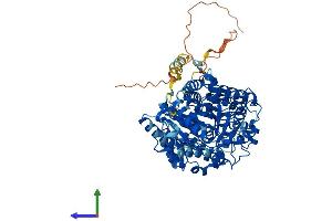 Protein Structure (PS) image for Glycogen Synthase 2, Liver (GYS2) (AA 1-704) protein (His tag) (ABIN7559810)