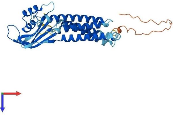 DUOXA2 Protein (AA 1-320) (His tag)